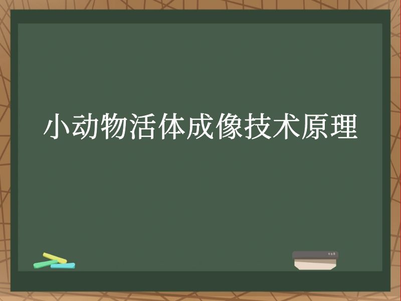 小動(dòng)物活體成像技術(shù)原理
